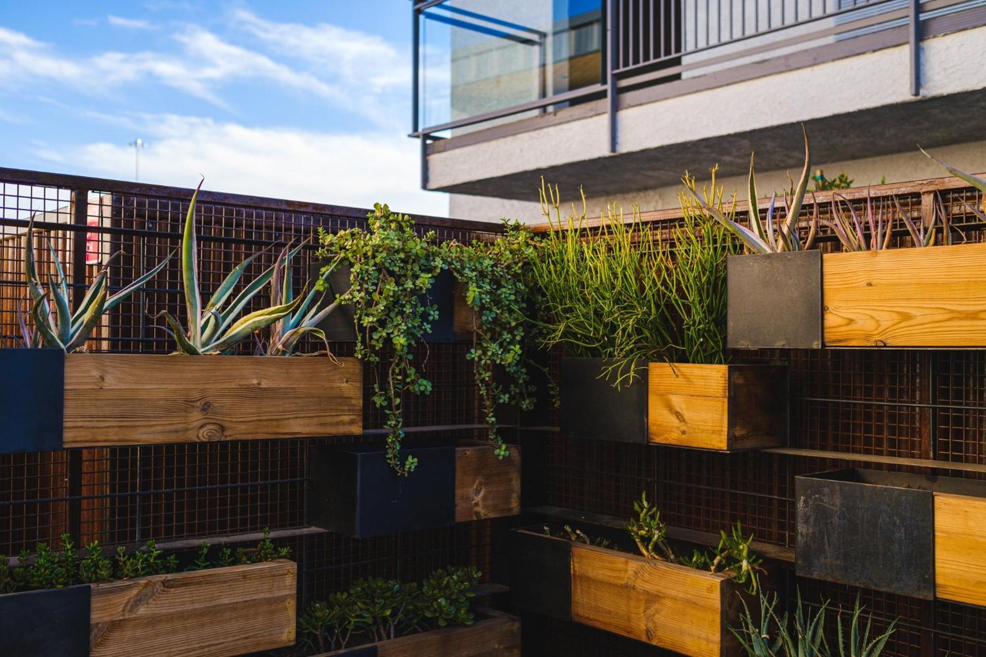 Voco The Tuxon By Ihg Hotel Tucson Exterior photo